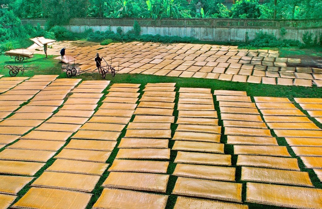 Sân làng Cự Đà phơi miến vàng nhìn từ trên cao