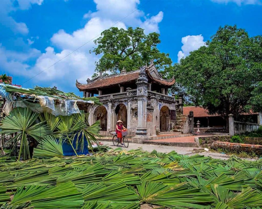 Đình cổ và sân phơi lá cọ chuẩn bị làm nón